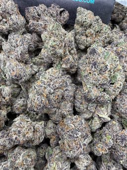 SS26 - C LA Lcg thumbnail 1