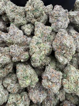 SS39 - Blue Runtz thumbnail 1