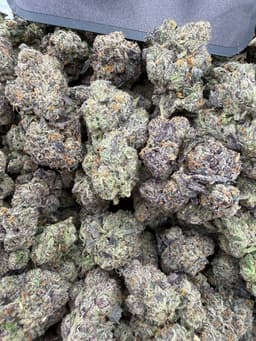 SS31 - LCG 85 thumbnail 1