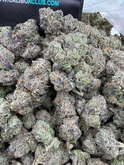 SS29 - Zalatto thumbnail 1