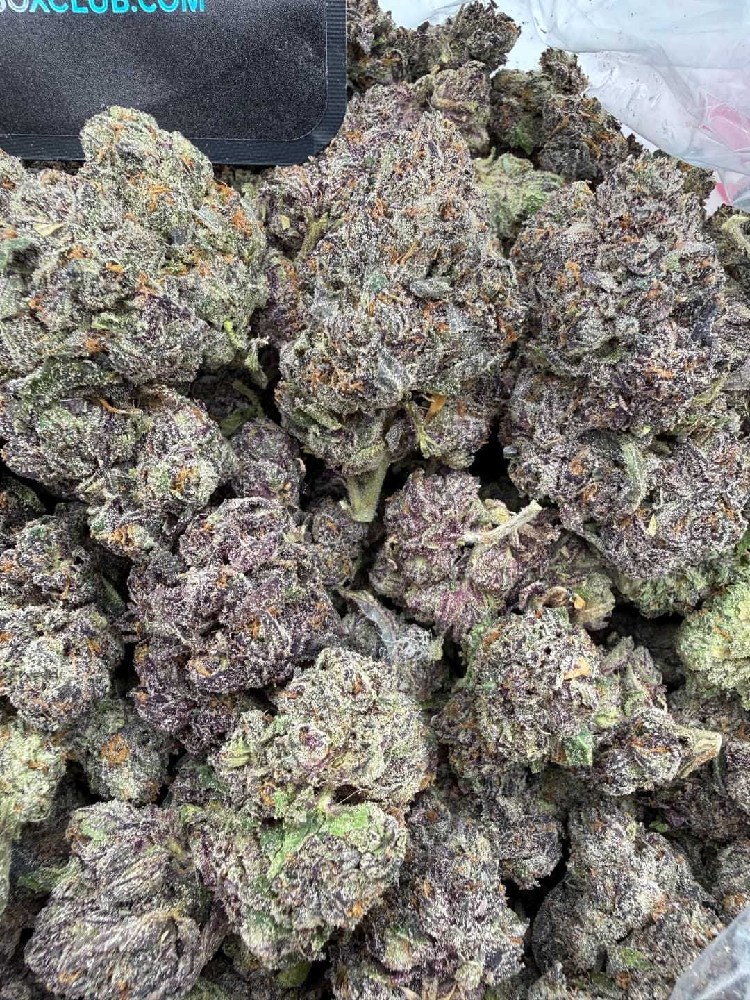 SS30 - Rainbow Kandy