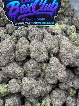 AA11 - Gushers thumbnail 1