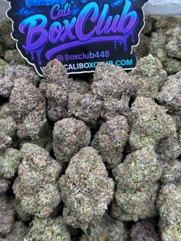 AA14 - White BubbleGum thumbnail 1