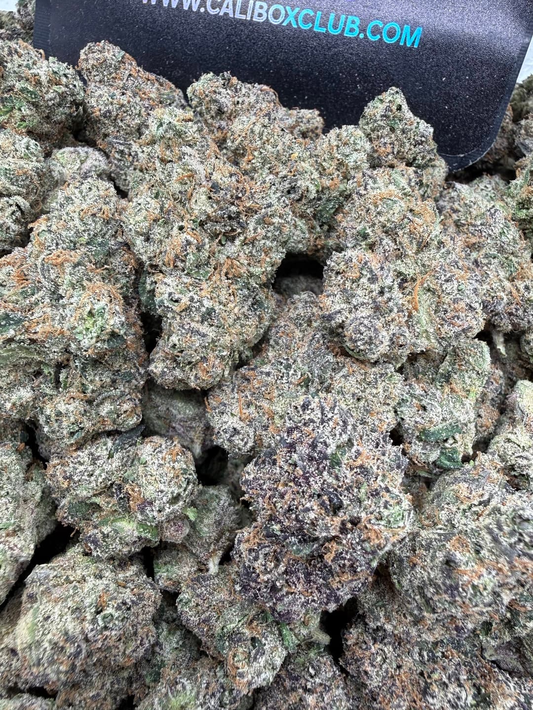 SS25 - Pistachio Runtz