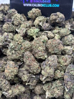 TT002 - Apple Fritter  thumbnail 1