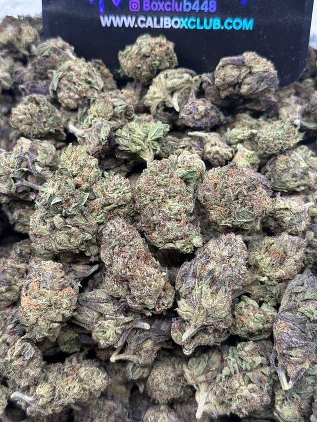 TT002 - Apple Fritter 