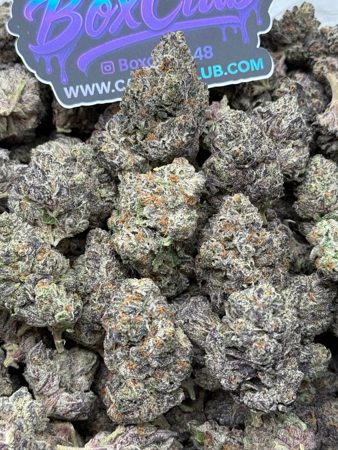ADL03 - Z Candy (Indica)