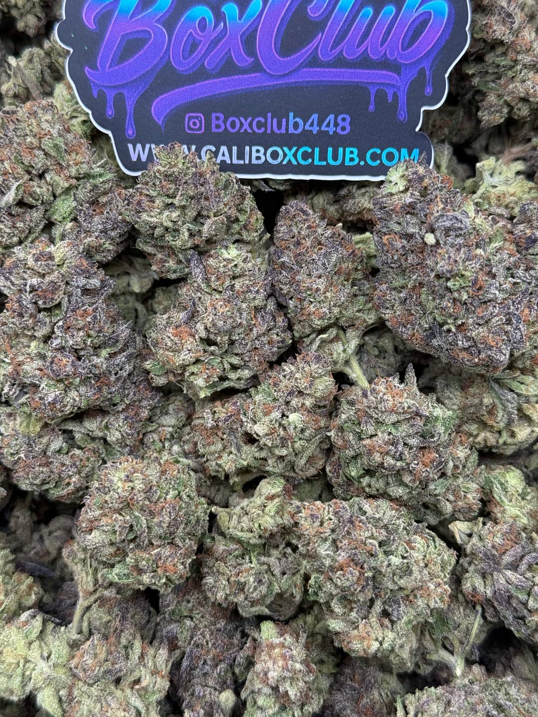 MD20 - Ice Cream Cakes (Indica) - Image 1