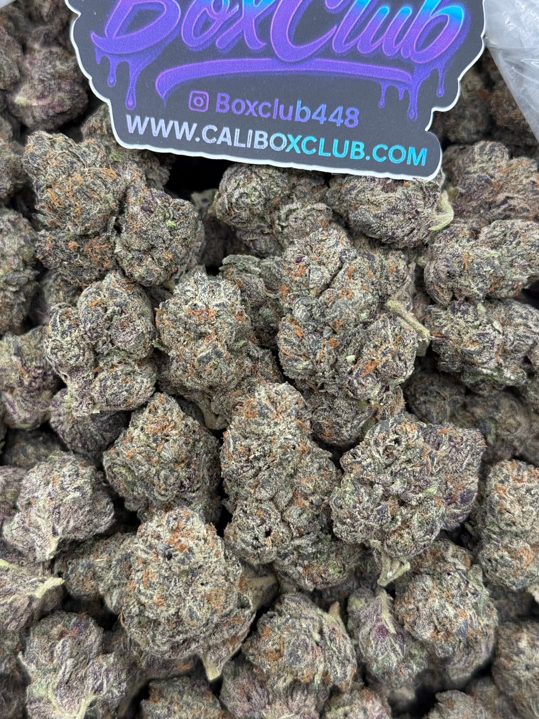 ADL02 - Blue Zushi (Hybrid)