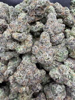 SS22 - Sweet Runtz thumbnail 1