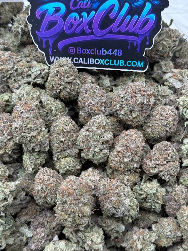 TT30 - Platinum Bubba