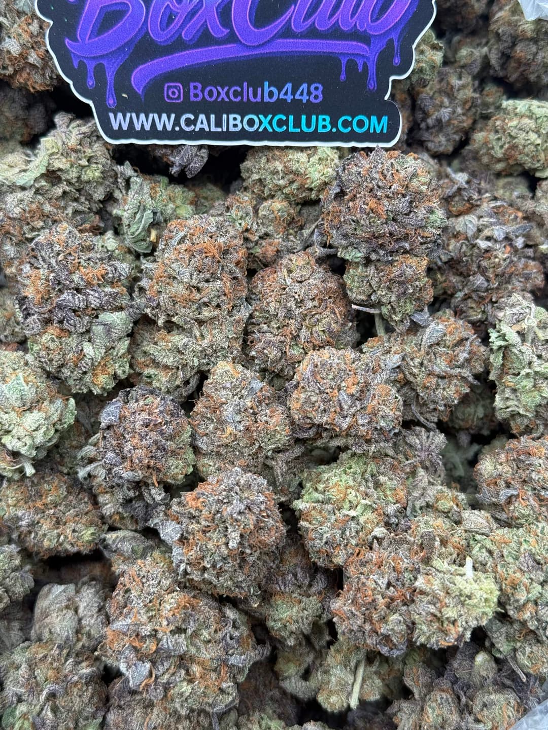 TT10 - Purple Bubbas 