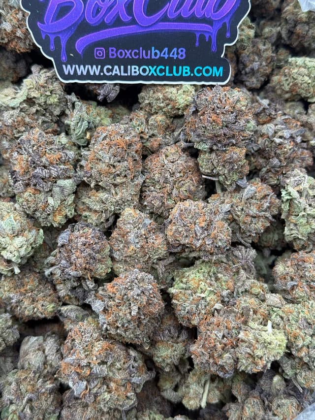 TT10 - Purple Bubbas 