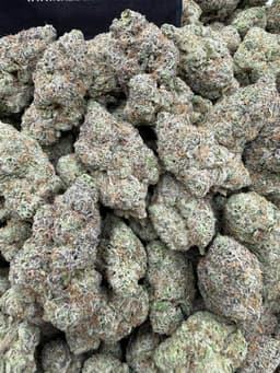 SS37 - Delish thumbnail 1